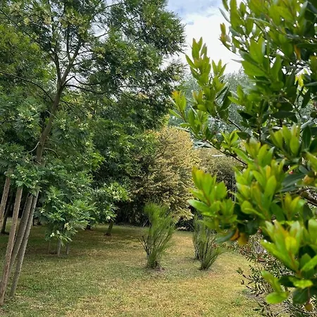 Avec Piscine Chauffee Et Parc Arbore Situee A 100 M De La Et Foret Sans Vis A Vis Villa Saint-Trojan-les-Bains