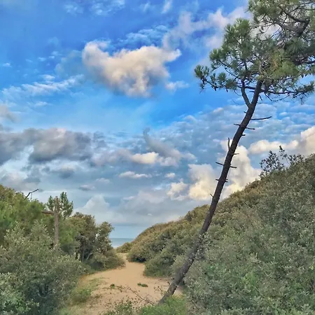 Villa Avec Piscine Chauffee Et Parc Arbore Situee A 100 M De La Et Foret Sans Vis A Vis Saint-Trojan-les-Bains