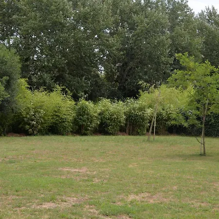 Avec Piscine Chauffee Et Parc Arbore Situee A 100 M De La Et Foret Sans Vis A Vis Villa